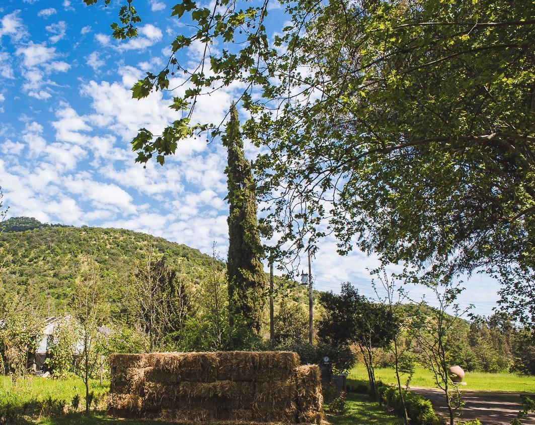 Hacienda Los Lingues Chile Valle De Colchagua Bagian luar foto